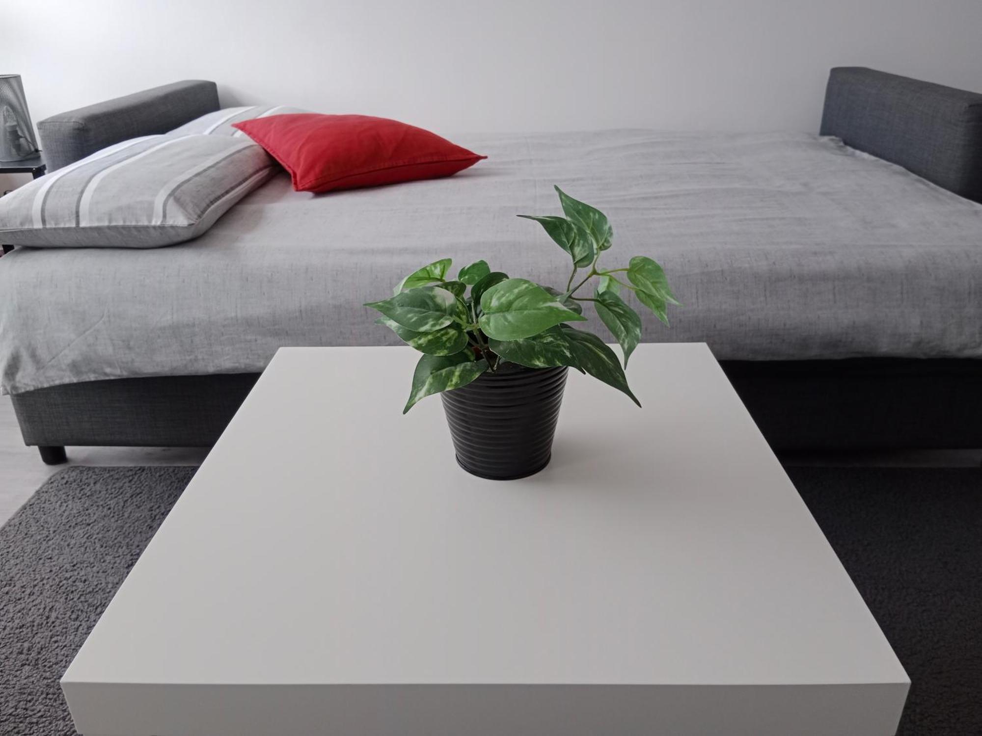 쀼또 Panoramic Great View 아파트 외부 사진